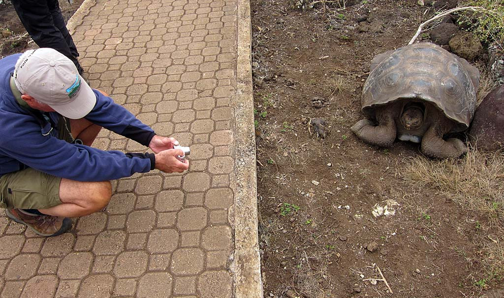 On one day we’ll look for giant tortoises in the wild before visiting a tortoise breeding facility.